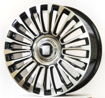 Диски lizardo-hn593