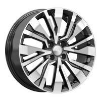 Диски skad-timaru